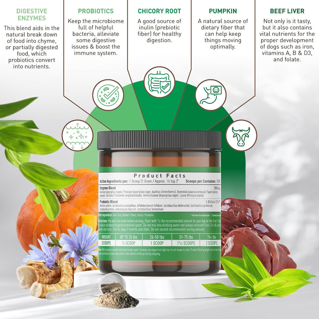 Pre + Probiotic Powder for Dogs with Digestive Enzymes - Sabor a Hígado de Ternera Natural - 120 Dosis