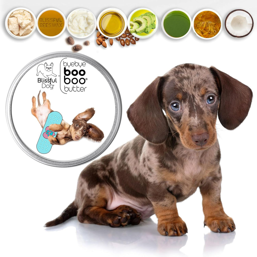 The Blissful Dog 4 oz TIN Salve para rozaduras de perro salchicha