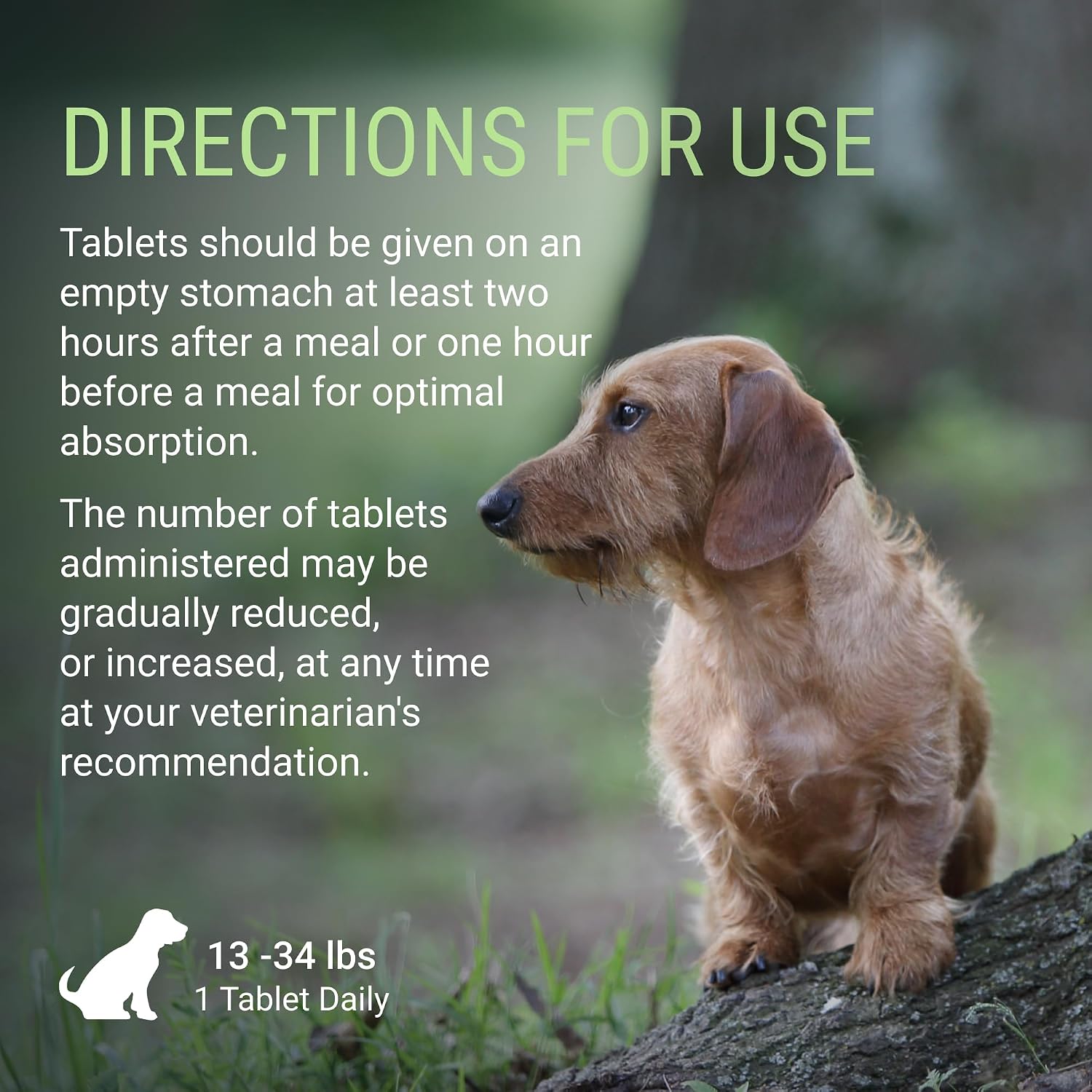 Denosyl for Medium Dogs - Supplement with S-adenosylmethionine (SAMe) - 30 Tablets