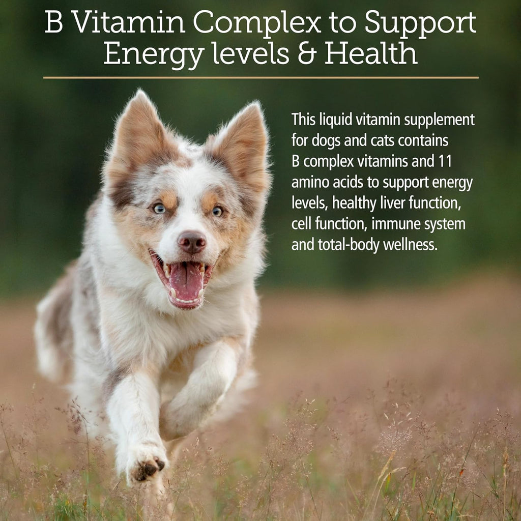 Rx Vitamins Amino B Plex Suplemento Líquido para Perros y Gatos - Complejo de Vitamina B con Aminoácidos - 60 ml