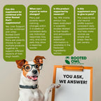 Rooted Owl® Suplemento Hepático para Perros - Cardo Mariano - 60 Cápsulas Veganas