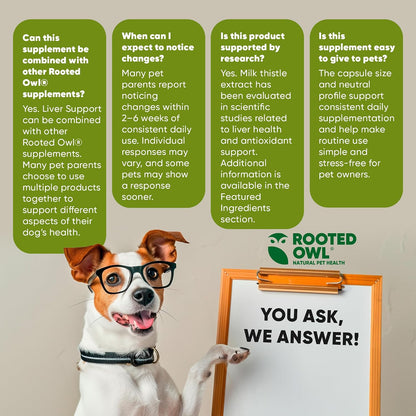 Rooted Owl® Suplemento Hepático para Perros - Cardo Mariano - 60 Cápsulas Veganas – Image 8
