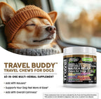 Clean Pets Travel Chews - Masticables calmantes para perros con jengibre y melatonina
