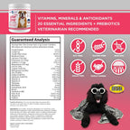 Vital Planet - Multivitamínico en Polvo Vital Dog para Perros, Sabor Carne de Res, 75 g (30 raciones)