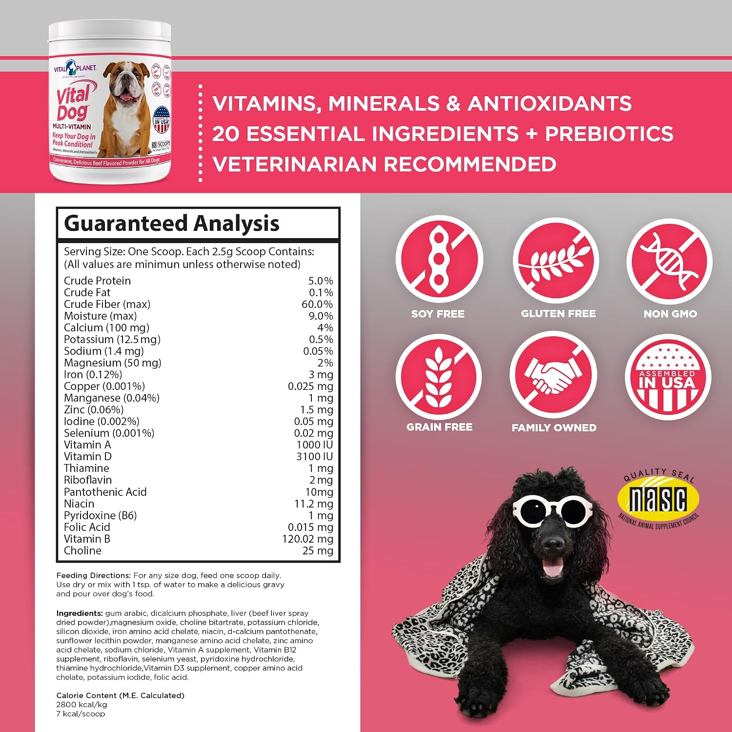 Vital Planet - Multivitamínico en Polvo Vital Dog para Perros, Sabor Carne de Res, 75 g (30 raciones)