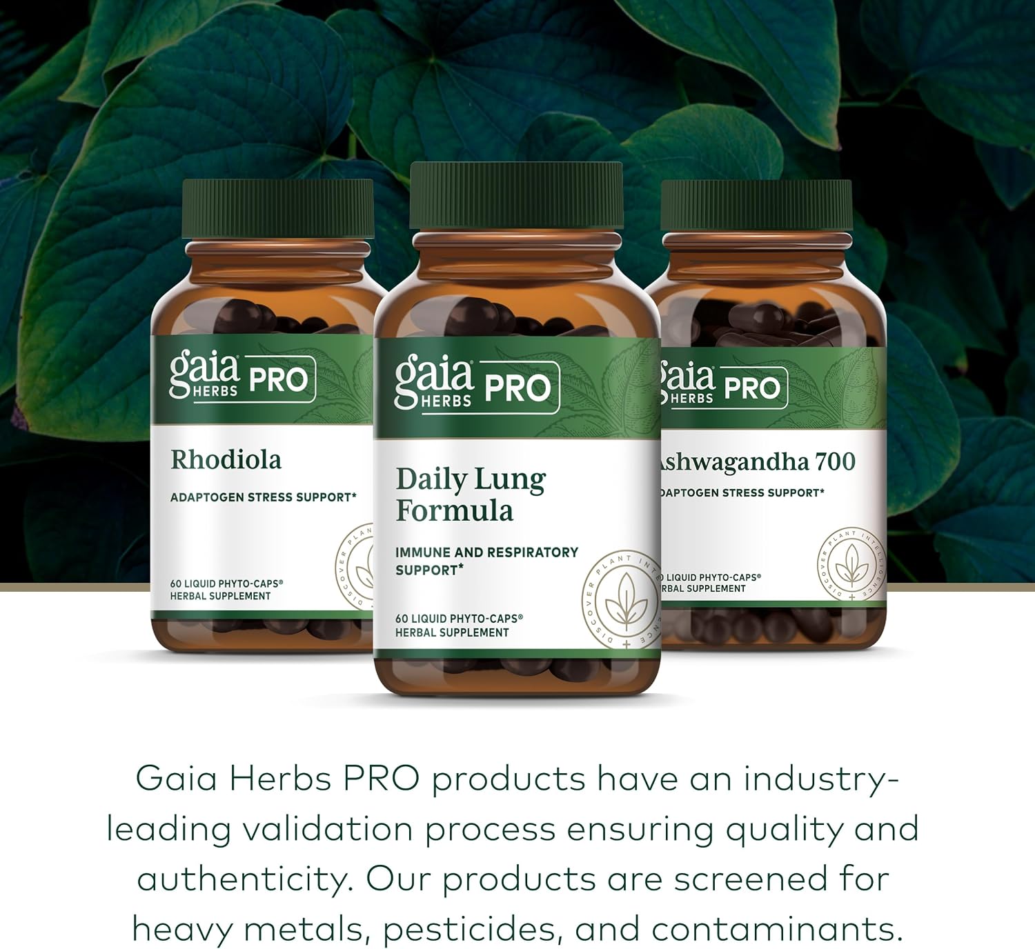 GAIA HERBS PRO Fórmula Pulmonar Diaria - Apoyo a la Salud Respiratoria - Suplemento con Hoja de Gordolobo, Raíz de Malvavisco y Más - Vegano, Sin Gluten, Sin Soja - 60 Cápsulas Líquidas