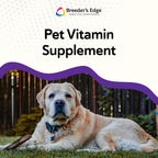 Breeder's Edge B Strong Líquido - Vitaminas B para Perros y Gatos - 946 ml