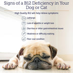 RX Vitamins B12 para Perros y Gatos - Suplemento Líquido para Apoyo Digestivo y Nervioso - 118 ml (4 oz)