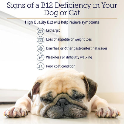 RX Vitamins B12 para Perros y Gatos - – Mascotas mayores que necesitan un apoyo adicional para su sistema nervioso – Image 5