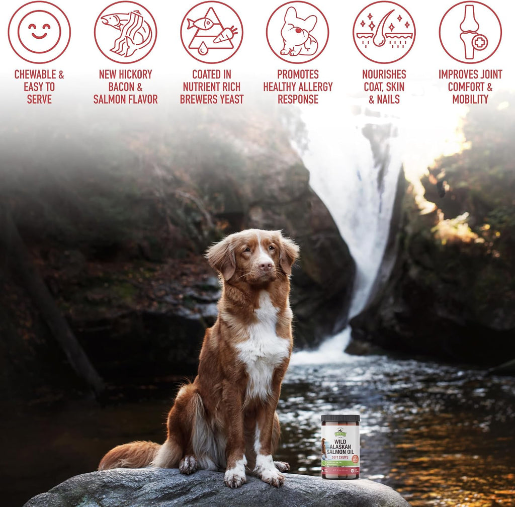 Strawfield Pets Masticables de Salmón para Perros con Omega 3 - Aceite de Salmón Salvaje de Alaska para Piel, Pelaje y Articulaciones