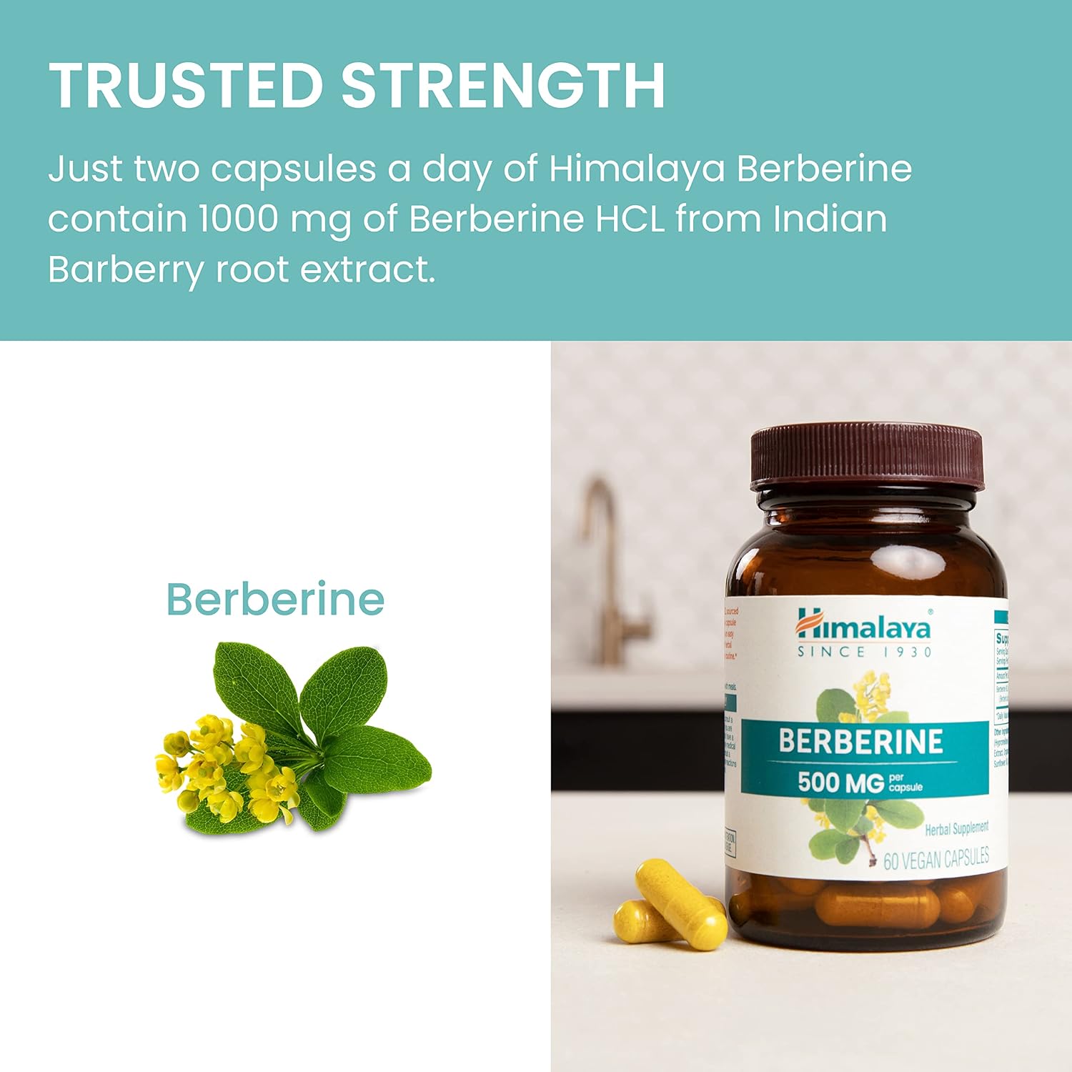 Himalaya Berberine 1000 mg - 60 Cápsulas Vegetales - Complemento Alimenticio Vegano sin Gluten