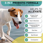 Probióticos para Perros Masticables – Apoyo Digestivo con Enzimas – 120 Unidades