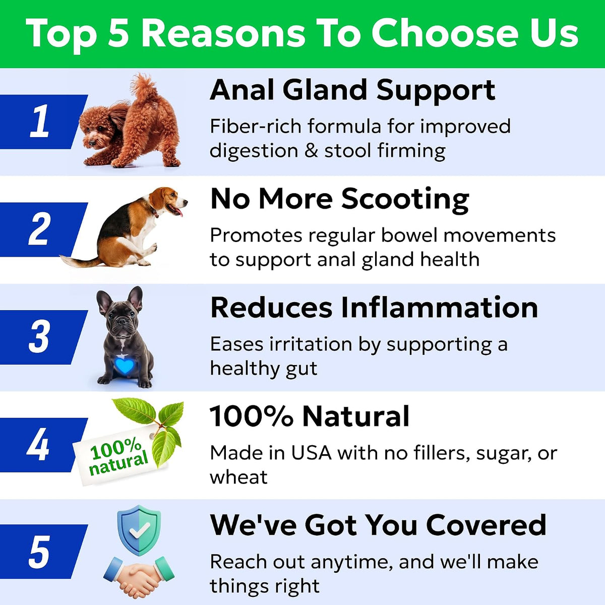 BARK&SPARK Golosinas para el Tratamiento de Glándulas Anales para Perros - Suplemento de Apoyo con Prebióticos y Enzimas – Image 7