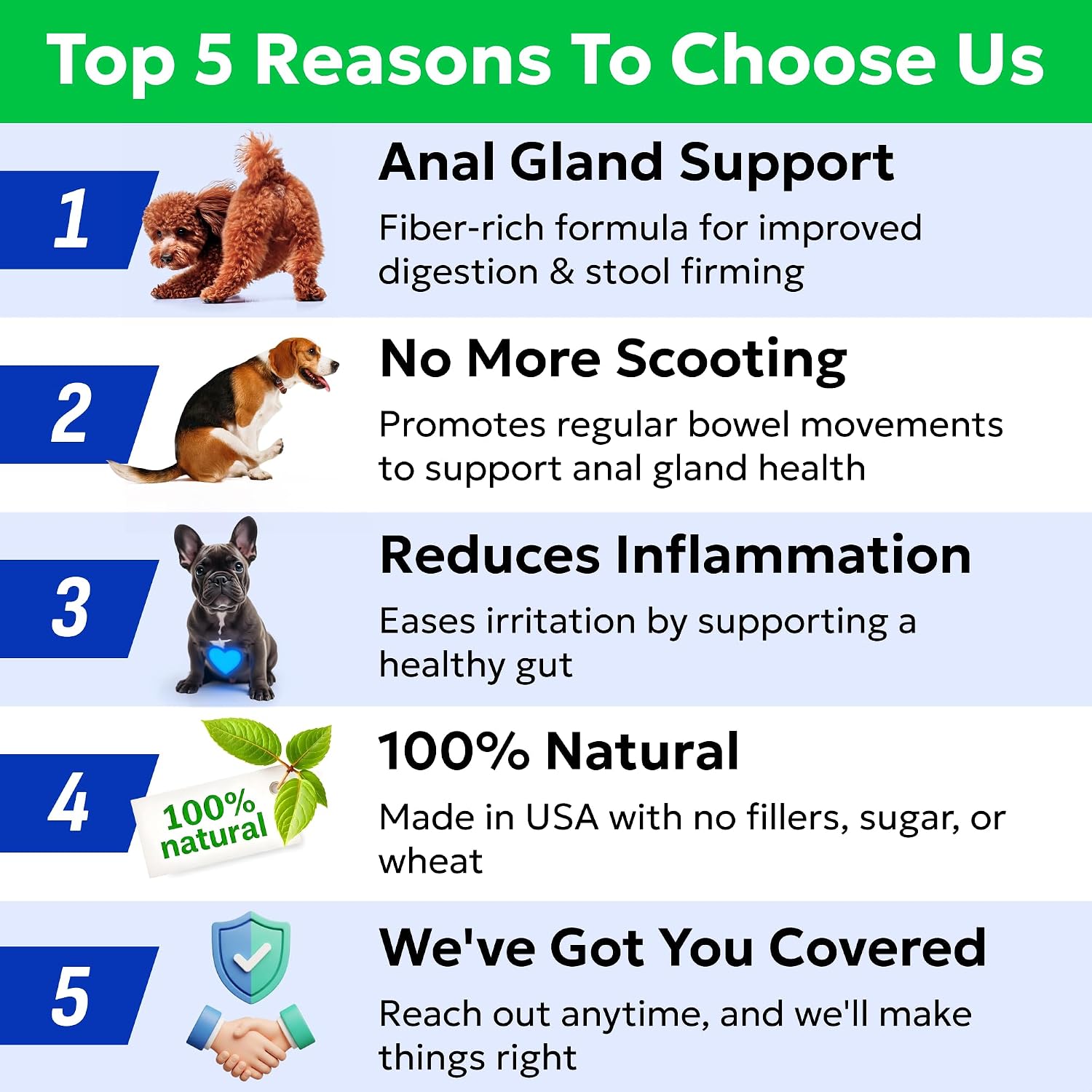 BARK&SPARK Golosinas para el Tratamiento de Glándulas Anales para Perros - Suplemento de Apoyo con Prebióticos y Enzimas Digestivas - Sabor a Bacon, 120 Golosinas
