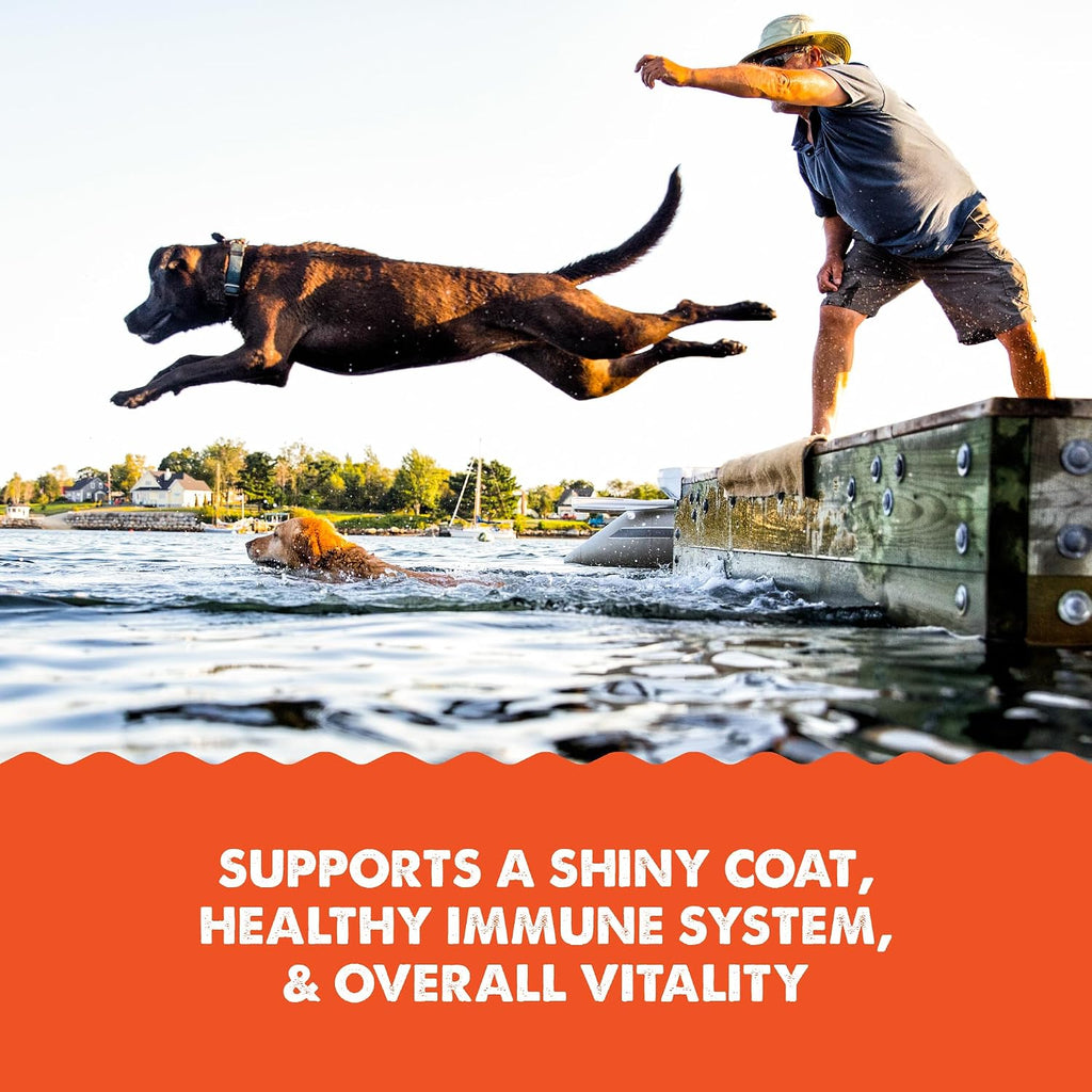 Grizzly Salmon Plus Omega 3-6-9 Suplemento Líquido para Perros y Gatos, 4 oz