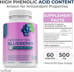 Teaveli Probiotic Blueberry Supplement con Arándanos Silvestres – 1000 mg/Serving – 60 Cápsulas