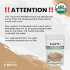 Organic Earth Irish Sea Moss en Polvo Orgánico con Bladderwrack y Bardana - 227g