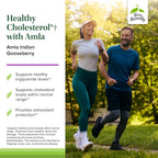 Terry Naturally Healthy Cholesterol con Amla | Apoya la Salud Cardiovascular | 60 Cápsulas