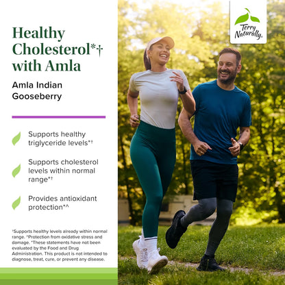 Terry Naturally Healthy Cholesterol con Amla – Ayuda a proteger las células del estrés oxidativo, promoviendo así – Image 3