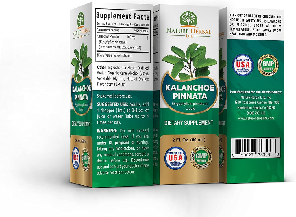 Kalanchoe Pinnata (Bryophyllum Pinnatum) Glicerita - Extracto Líquido de Hojas y Tallos - Suplemento Herbal Antioxidante - 60 ml