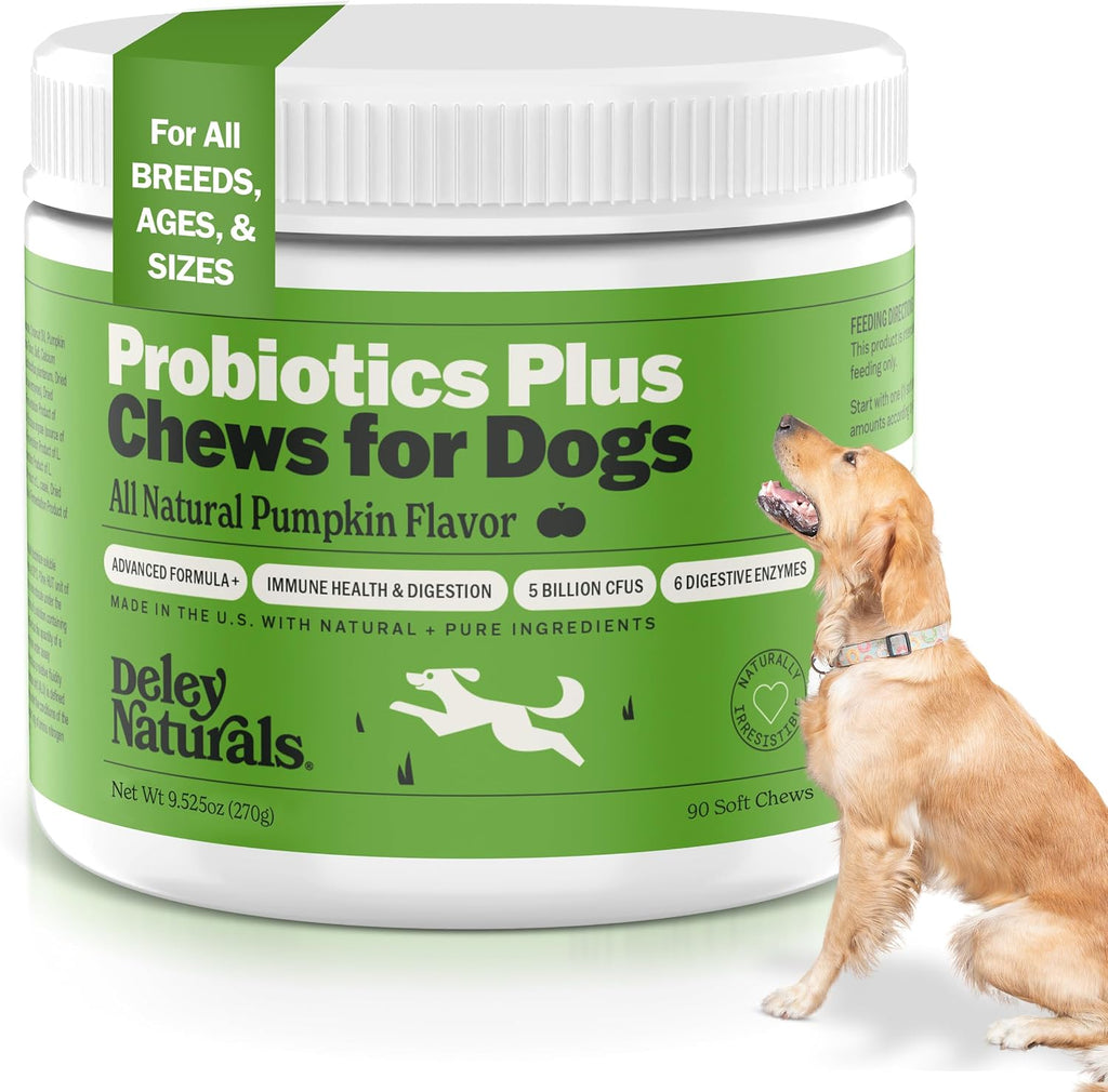 Deley Naturals Probióticos Plus Masticables para Perros - 5 Mil Millones UFC con Enzimas Digestivas - Sabor a Calabaza - 90 Unidades