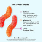 OLLY Hello Happy Gummy Worms - Gomitas de Apoyo al Ánimo con Extracto de Azafrán y Vitamina D, Sabor Tropical Zing, 60 unidades