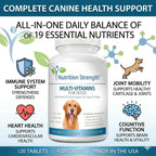 Multivitamínicos para perros, apoyo vitamínico y mineral diario, suplemento nutricional para todas las razas y tamaños, promueve la salud inmunológica, 120 comprimidos masticables