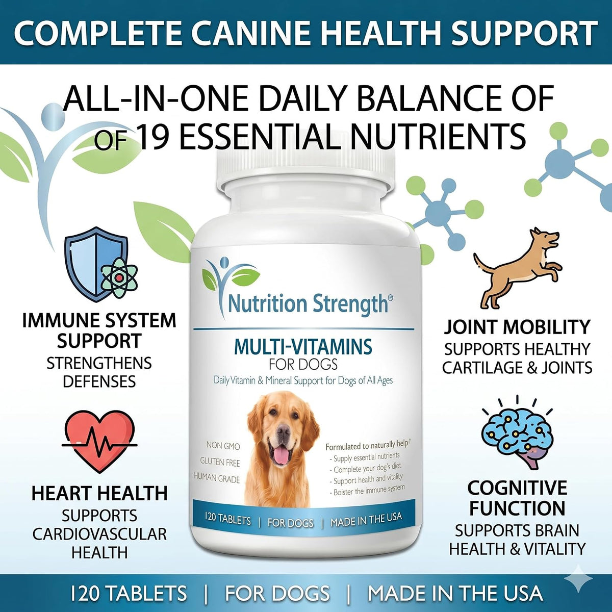 Multivitamínicos para perros, apoyo vitamínico y mineral diario, suplemento nutricional para todas las razas y tamaños, – Image 2