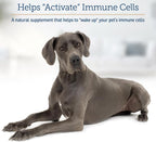 Rx Vitamins GlucaMune Forte - Immune Support Supplement with Beta Glucan for Dogs and Cats - Strengthens Natural Defenses for Overall Health - 60ct