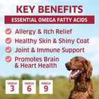 Aceite de Salmón para Perros - Masticables de Omega 3 - 120 uds