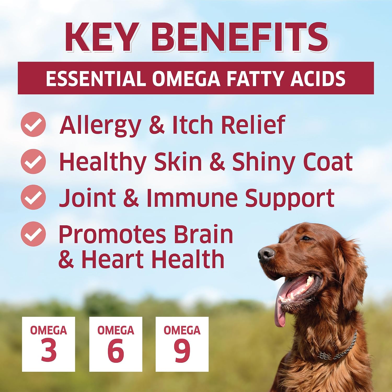 Aceite de Salmón para Perros - Masticables de Omega 3 - 120 uds