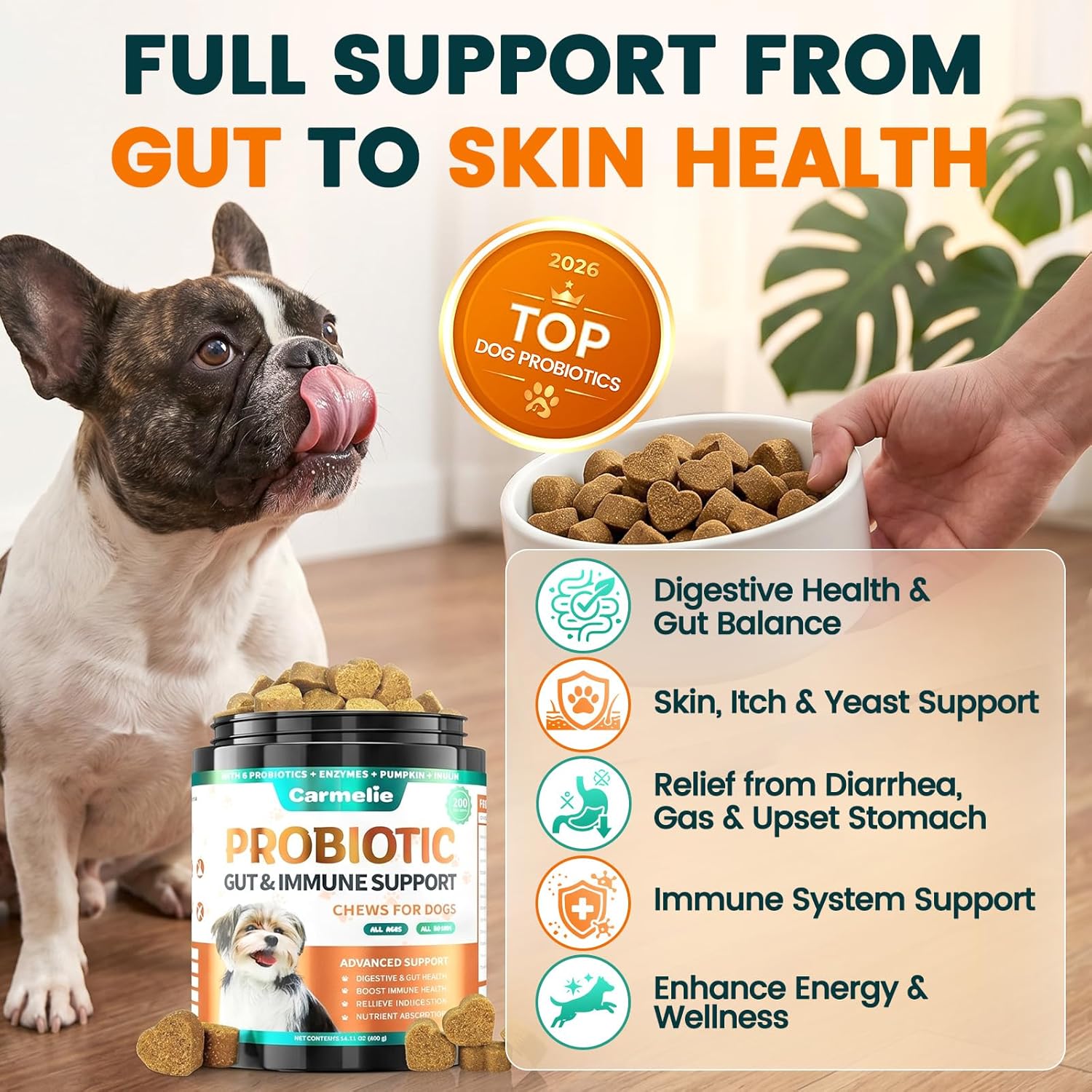 Probióticos para Perros Carmelie - Masticables con Enzimas Digestivas y Prebióticos (Pollo, 200 uds)