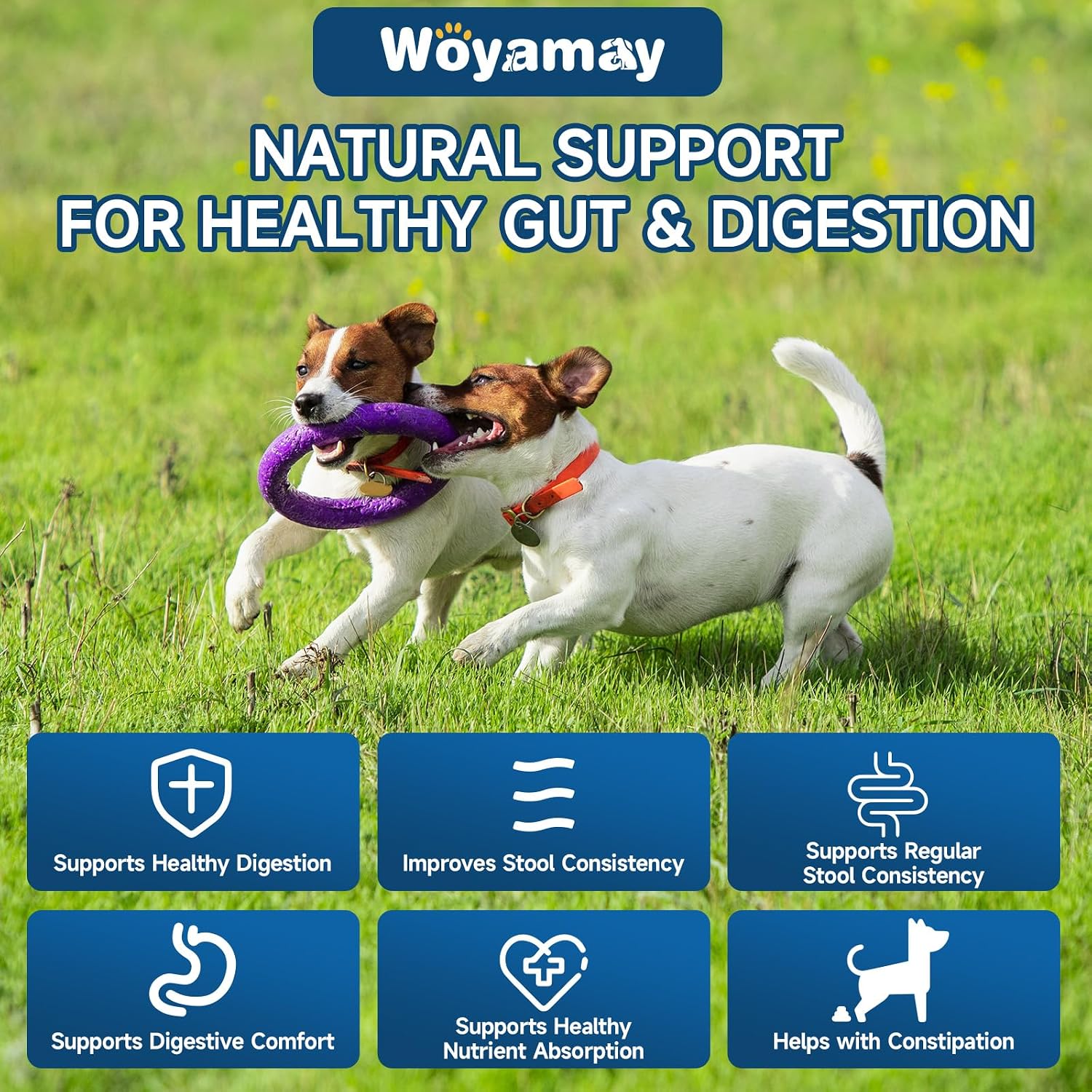 Woyamay Probióticos para Perros, 200 Snacks Blandos - Salud Digestiva e Inmunidad