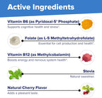 Superior Source No Shot Vitamina B12 Metilcobalamina 2000 mcg, B6 y Metilfolato 1200 mcg - 60 Comprimidos Sublinguales