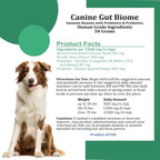 Canine Gut Biome Blend de Holistic Bin - Topper Nutricional con Probióticos y Prebióticos para Perros (50g)