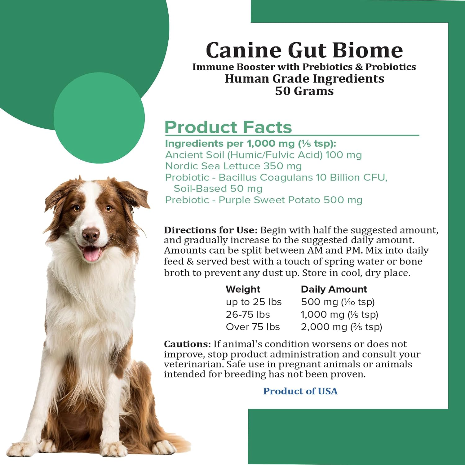 Canine Gut Biome Blend de Holistic Bin - Topper Nutricional con Probióticos y Prebióticos para Perros (50g)