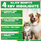Aceite de Ricino para el Tratamiento de Lipomas en Perros y Gatos – 59 ml