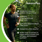 NaturesPlus Source of Life Garden B-Complex - Organic B-Complex - 60 Capsules (30 Servings)