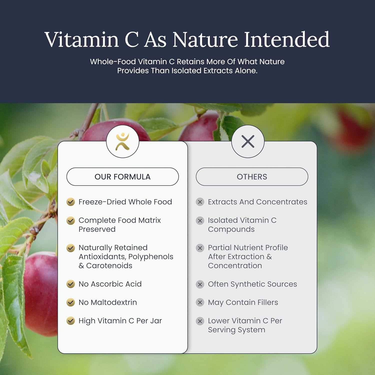 Infinity-C Cápsulas de Vitamina C Orgánica – 1000 mg de Acerola, Camu Camu y Amla con Jengibre, Astrágalo y Shilajit (30 dosis)