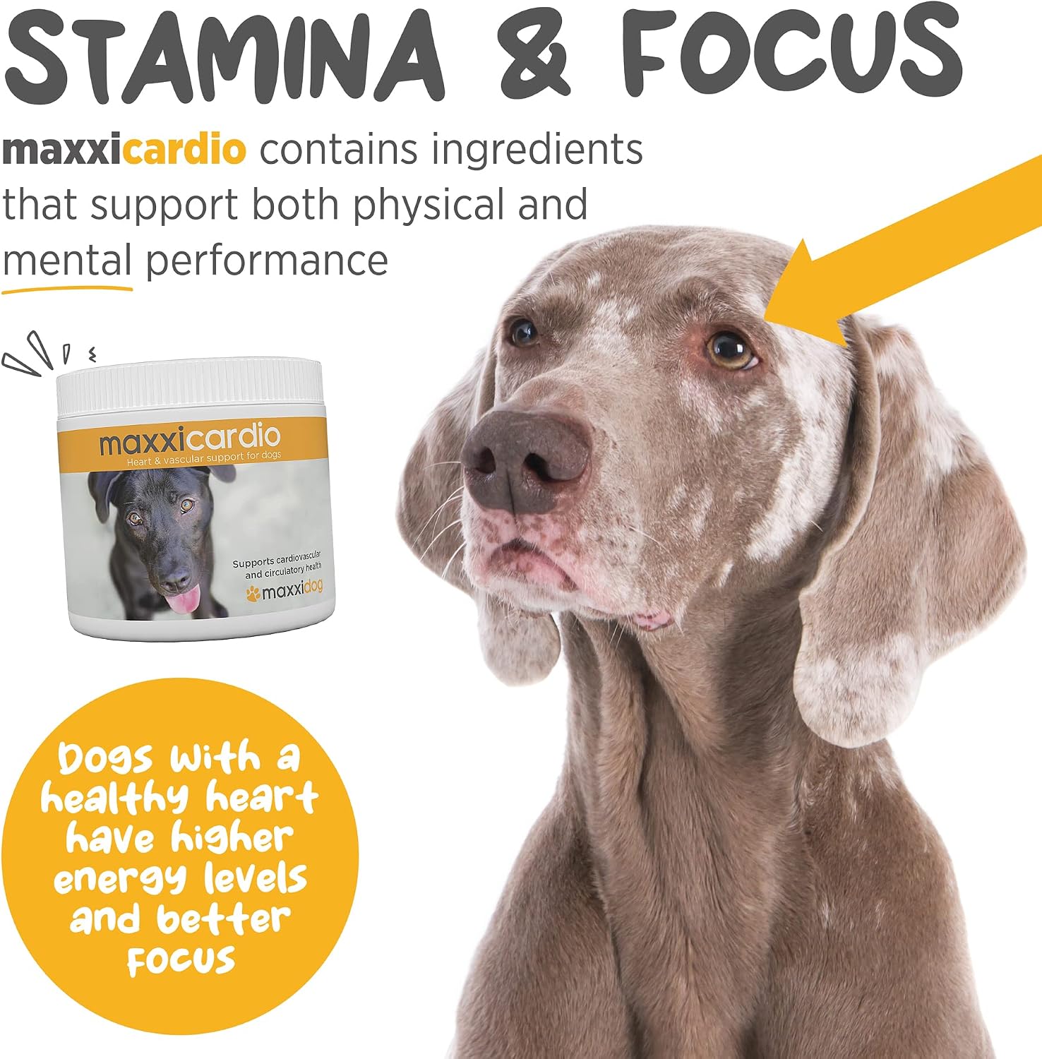 maxxicardio Heart Support para Perros Pequeños – Taurina, L-Carnitina, Espino, Ginkgo – Polvo 3.2 oz