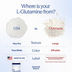 Essential Stacks Gut L-Glutamine Powder - Polvo de L-Glutamina Pura para la Salud Intestinal (60 Dosis, Sin Sabor)