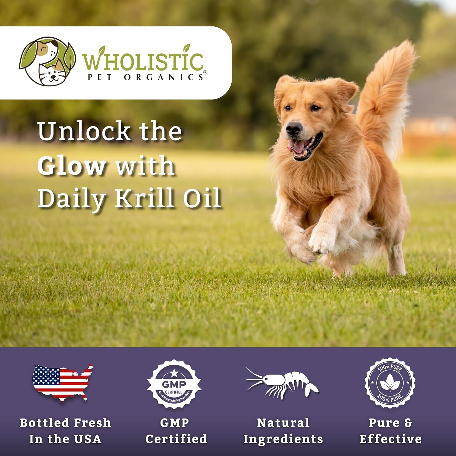 Wholistic Pet Organics Krill Oil para Perros y Gatos - Suplemento Antioxidante Premium - 60 Cápsulas Blandas