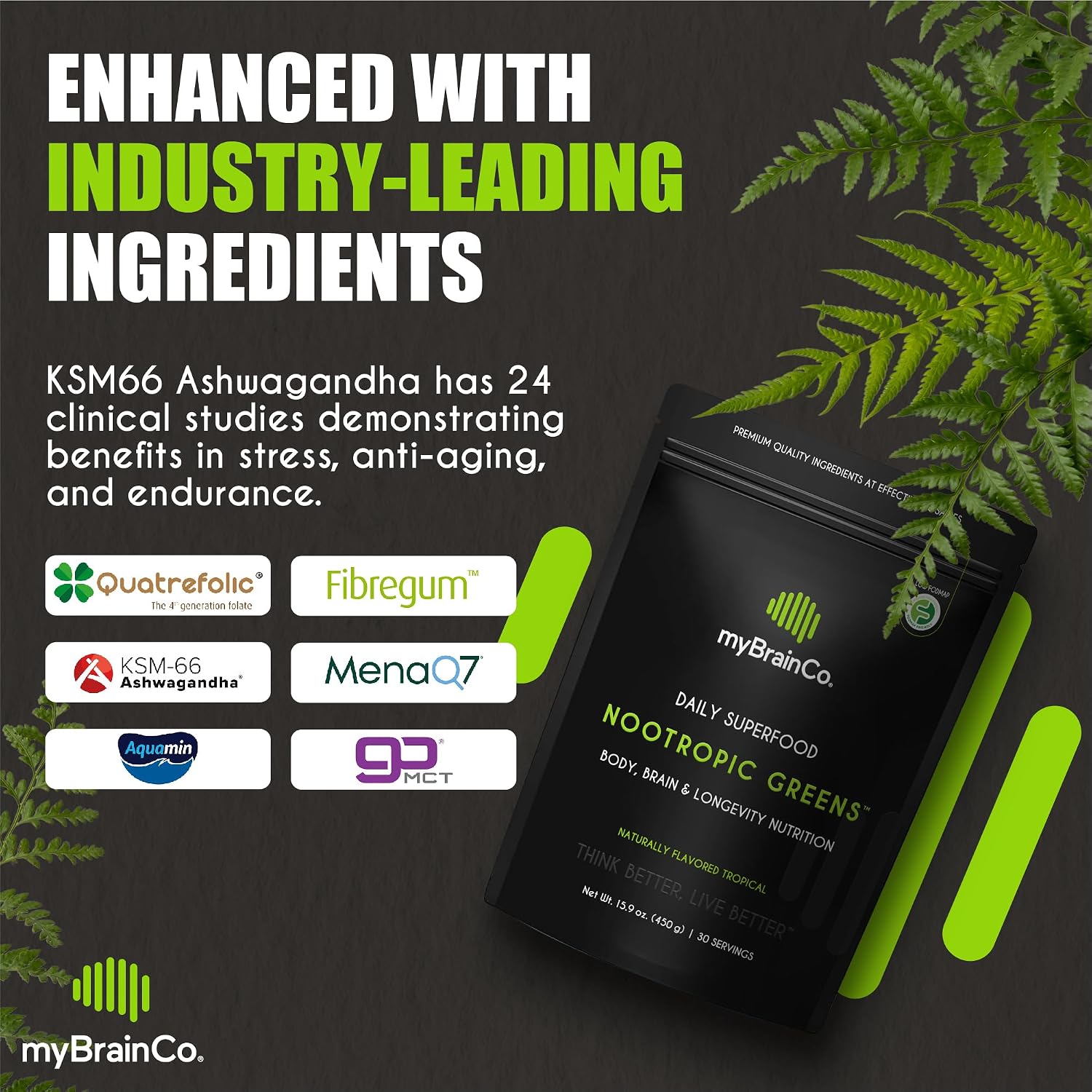 myBrainCo. Nootropic Greens - Mezcla completa de superalimentos orgánicos y nootrópicos (225 g)