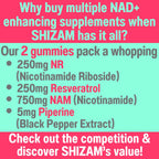 SHIZAM Gominolas NR + NAM + Resveratrol - 1000mg NAD+
