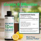 Atlantic Naturals 1 Day Colon Cleanse - Bebida Detox de Algas Marinas con Jengibre y Aloe Vera, Sabor Limón, 237 ml