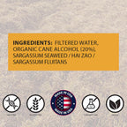 root + spring Tintura de Sargassum Seaweed – Extracto Líquido Concentrado con Gotero – 1 oz (Pack de 4)