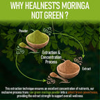 Extracto de Moringa 20:1 (20 000 mg) - Fórmula Potente - Suplemento Vegano con Vitaminas y Minerales - 120 Cápsulas - No Transgénico, Sin Gluten