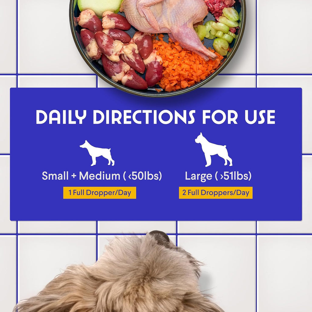 Premium DMG para Perros – Suplemento Líquido de Dimetilglicina (DMG) para la Salud Inmunológica, Piel, Rendimiento y Estrés – 118 ml