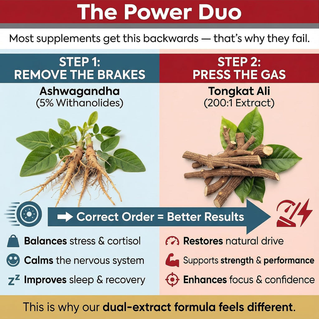 Tongkat Ali 200:1 Extract + Ashwagandha 5% Withanolides | Adaptógeno Dual Alta Potencia | 120 Cápsulas