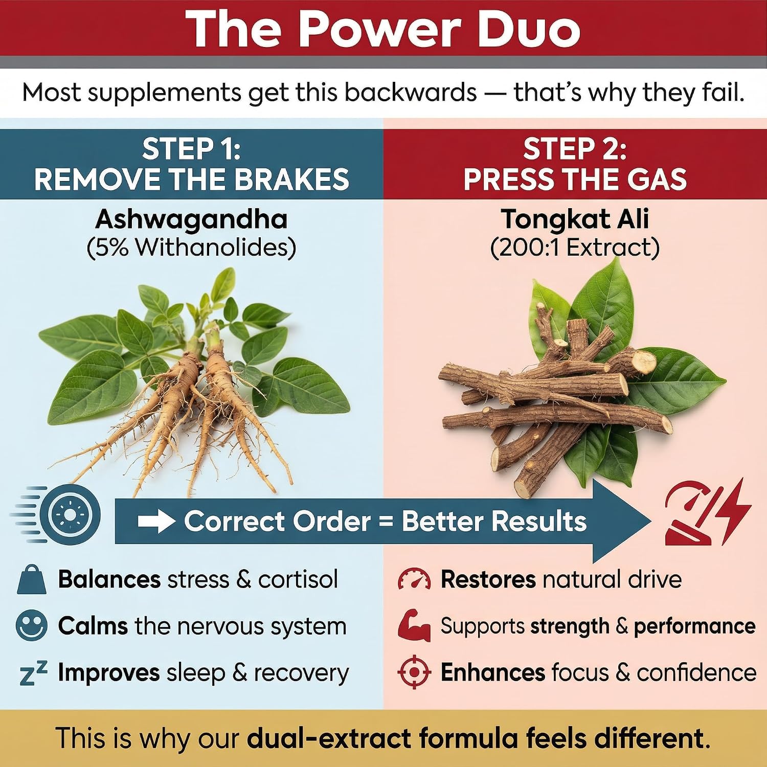 Tongkat Ali 200:1 Extract + Ashwagandha 5% Withanolides | Adaptógeno Dual Alta Potencia | 120 Cápsulas